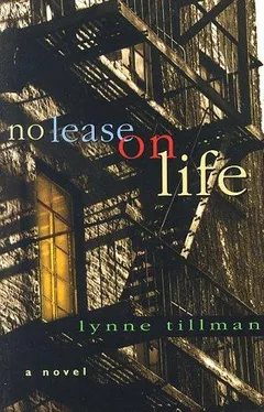 Cover of No Lease on Life