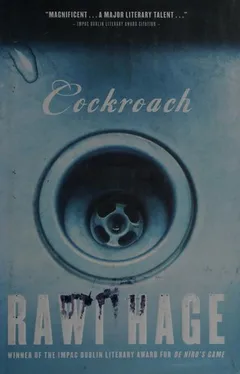 Cover of Cockroach