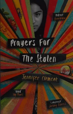 Cover of Prayers for the Stolen