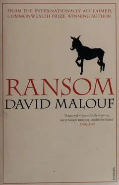 Cover of Ransom