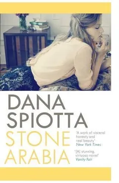 Cover of Stone Arabia