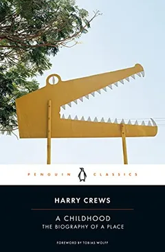 Cover of A Childhood