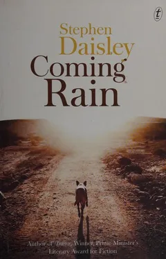 Cover of Coming Rain
