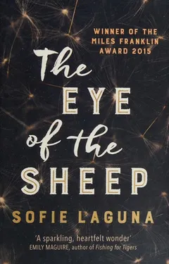 Cover of The Eye of the Sheep