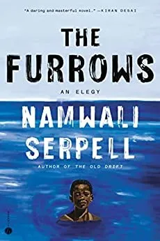 Cover of The Furrows