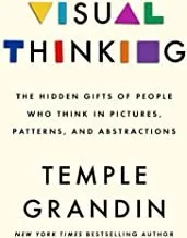 Cover of Visual Thinking