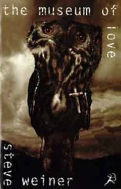Cover of The Museum of Love