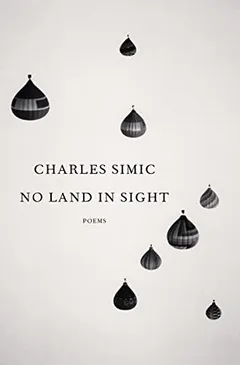 Cover of No Land in Sight