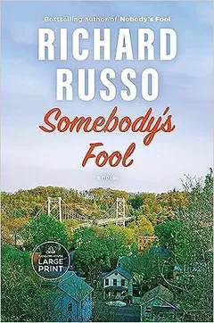 Cover of Somebody’s Fool