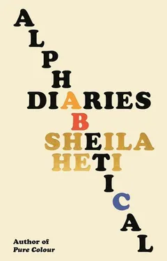 Cover of Alphabetical Diaries