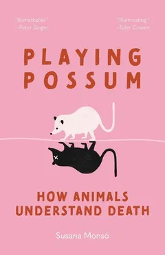 Cover of Playing Possum