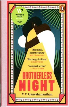 Cover of Brotherless Night
