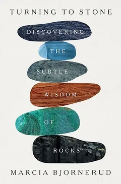 Cover of Turning to Stone