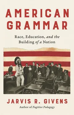 Cover of American Grammar