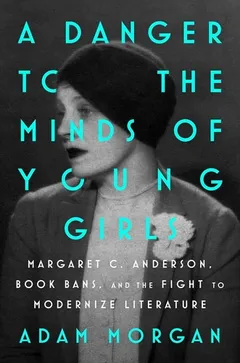 Cover of A Danger to the Minds of Young Girls