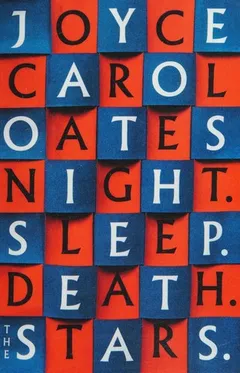 Cover of Night. Sleep. Death. the Stars