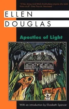 Cover of Apostles of Light
