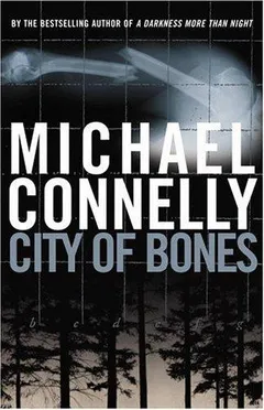Cover of City of Bones