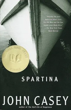 Cover of Spartina