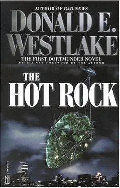 Cover of The Hot Rock