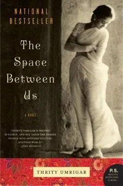 Cover of The Space Between Us