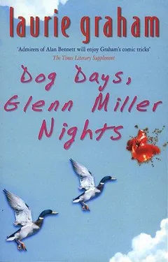 Cover of Dog Days, Glenn Miller Nights