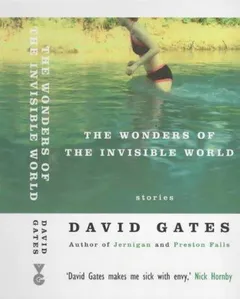 Cover of Wonders of the Invisible World