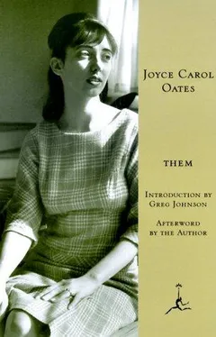Cover of them