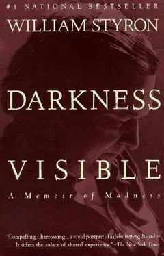 Cover of Darkness Visible