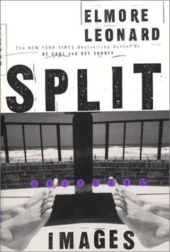 Cover of Split Images