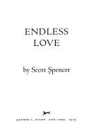 Cover of Endless Love
