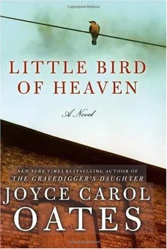 Cover of Little Bird of Heaven