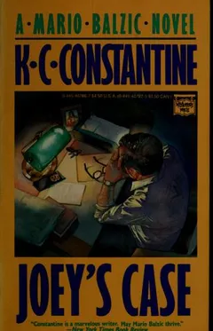 Cover of Joey’s Case