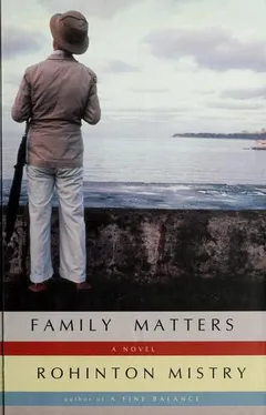 Cover of Family Matters