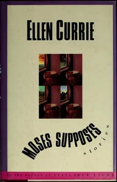 Cover of Moses Supposes