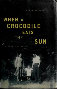 Cover of When a Crocodile Eats the Sun