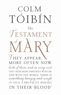 Cover of The Testament of Mary