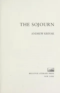 Cover of The Sojourn