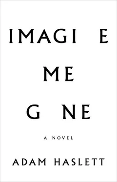 Cover of Imagine Me Gone