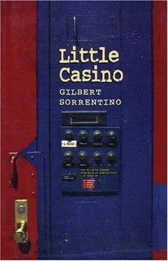 Cover of Little Casino