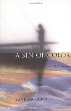 Cover of A Sin of Color