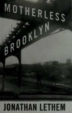 Cover of Motherless Brooklyn