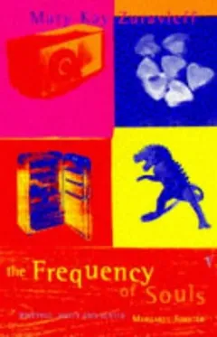 Cover of The Frequency of Souls