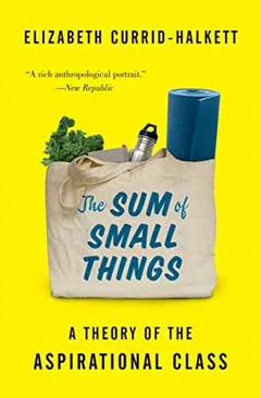 Cover of The Sum of Small Things