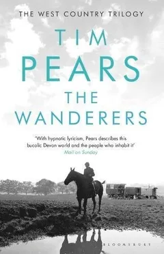 Cover of The Wanderers