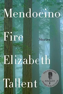 Cover of Mendocino Fire