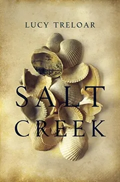 Cover of Salt Creek