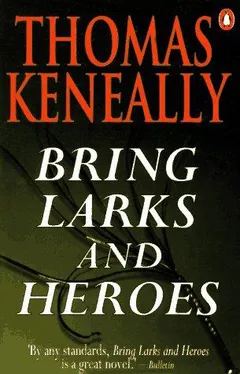 Cover of Bring Larks and Heroes