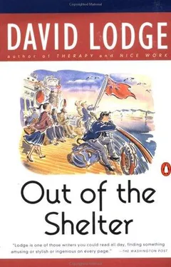 Cover of Out of the Shelter