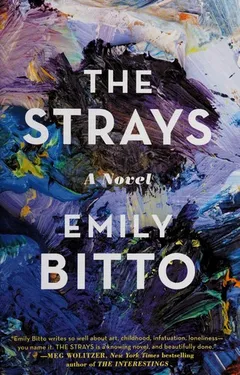 Cover of The Strays